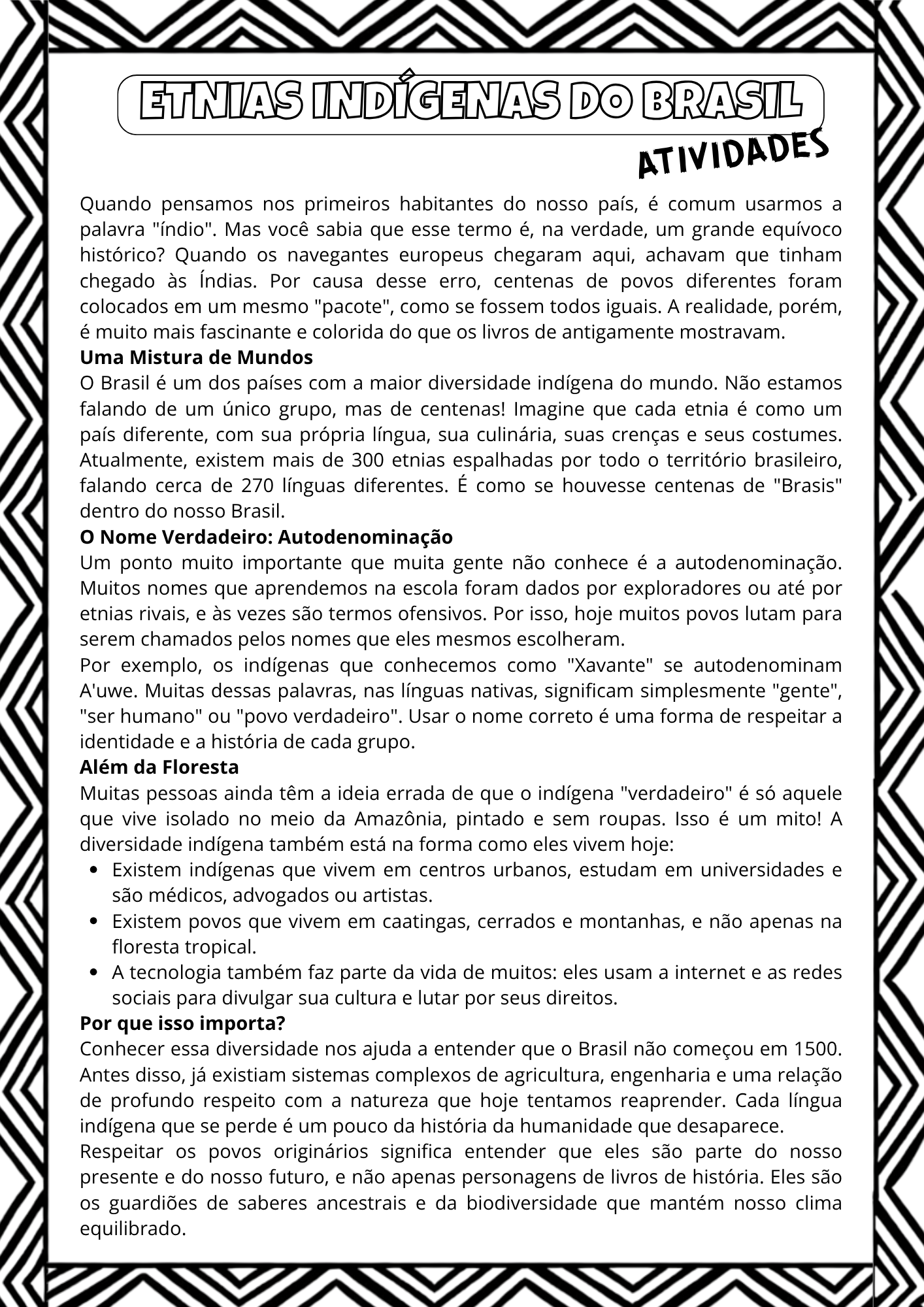 ETNIAS INDÍGENAS DO BRASIL - Imagem 9